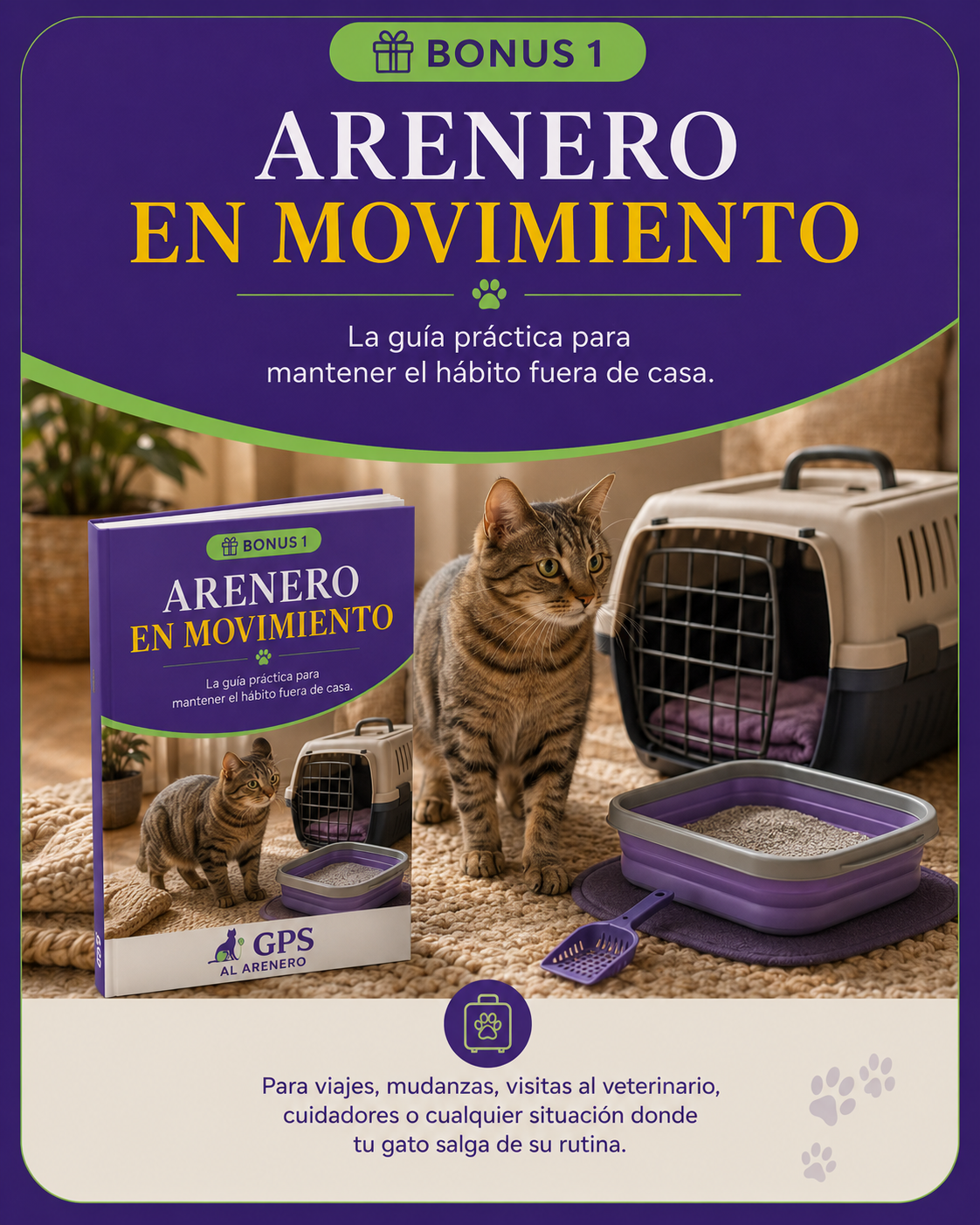 Bonus 1 Arenero en Movimiento