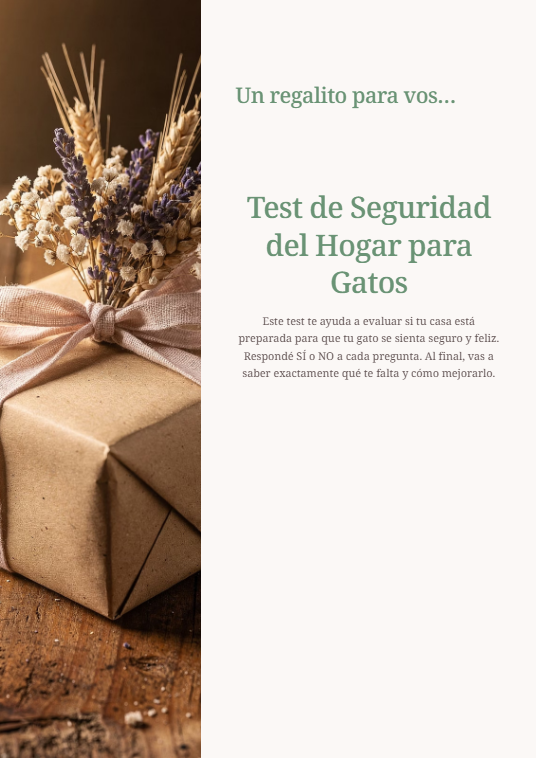 Test de Seguridad del Hogar